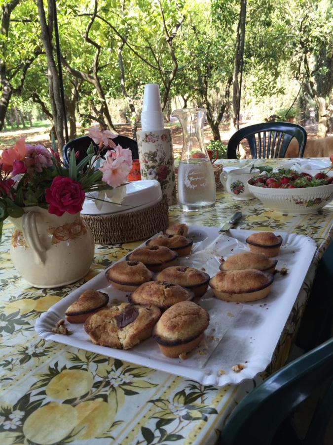 Casina Mozart Lecce Bed & Breakfast Magliano Luaran gambar