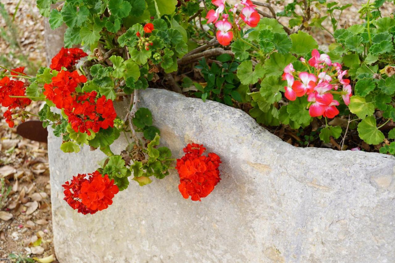 Casina Mozart Lecce Bed & Breakfast Magliano Luaran gambar